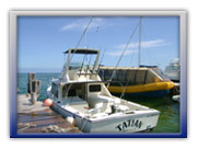 Cancun Fishing