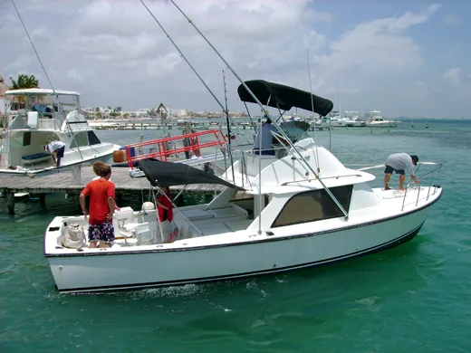31 ft. Bertram private fishing charter boat in Cancun