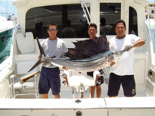 An Atlantic Sailfish caughtr during a spring deep sea fishing charter in Cancun
